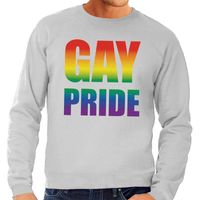 Gay pride regenboog sweater grijs voor heren - thumbnail