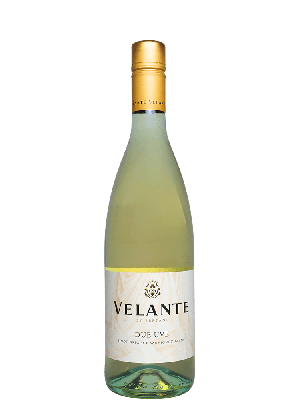 Bertani Due Uve Pinot Grigio - Sauvignon Blanc | Witte wijn | Italiaanse wijn | Verona