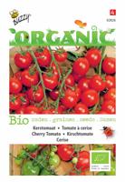 Organic Kerstomaten Cerise (Skal 14725) - Buzzy