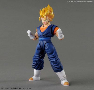 Dragon Ball Z Model Kit - Vegetto