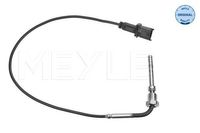 Sensor, uitlaatgastemperatuur 2148000026