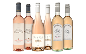 Rosé all day Wijnpakket