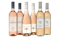 Rosé all day Wijnpakket