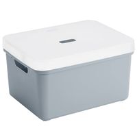Sunware opbergbox/mand 32 liter blauwgrijs kunststof met transparante deksel - Opbergbox