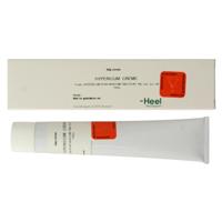 Homeoden Heel Hypericum zalf/creme