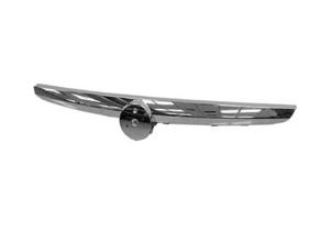 VOORBUMPERSIERLIJST MIDDEN Sup.Chrome Activ/Dyn/Emot 1619580