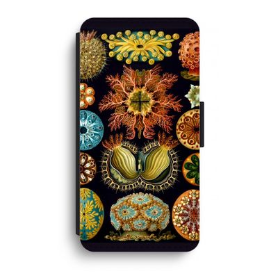 Haeckel Ascidiae: iPhone XR Flip Hoesje