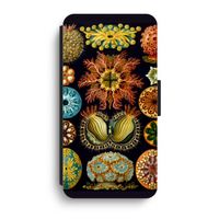 Haeckel Ascidiae: iPhone XR Flip Hoesje
