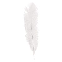 Struisvogelveer/sierveer - creme wit - 55-60 cm - decoratie/hobbymateriaal