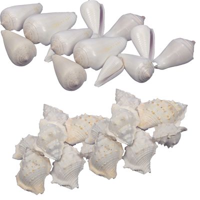 Decoratie/hobby schelpen mix - 2x 500 gr - wit