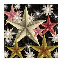 Kerst thema servetten - 20x st - 33 x 33 cm - kerststerren print