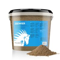 Zeewier paard