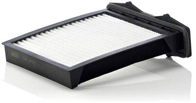Interieurfilter CU2423