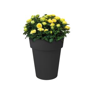 elho Green Basics Top Planter Hight Buiten Plantenpot Vrijstaand Polypropyleen (PP) Zwart