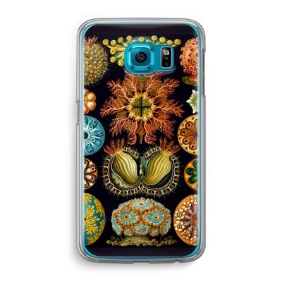 Haeckel Ascidiae: Samsung Galaxy S6 Transparant Hoesje