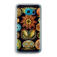 Haeckel Ascidiae: Samsung Galaxy S6 Transparant Hoesje