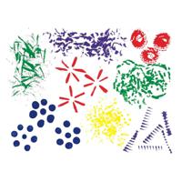 Colorations - grappige verfkwasten, 8dlg.