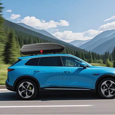 Dakkoffer Hardcase Auto Bevestiging Opbergkoffer met Veiligheidssleutels Zwart