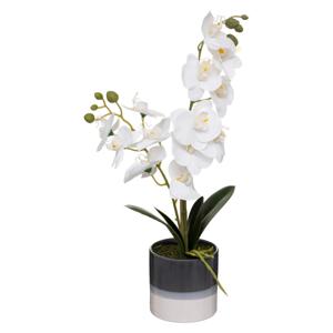 Atmosphera Orchidee bloemen kunstplant in sierlijke blauwe bloempot - witte bloemen - H45 cm   -