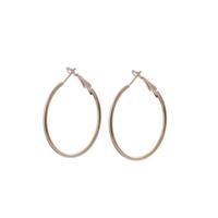 Go Dutch Label Creolen 4 cm Goud Go Dutch Label Creolen 4 cm Goud