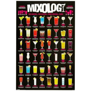 Poster - cocktails maken - decoratie - thuis bar - 61 x 91,5 cm