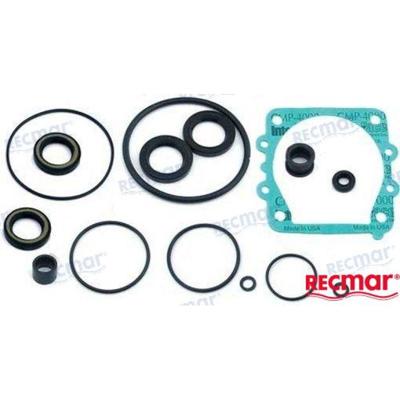 REC61N-W0001-E1 - ONDERSTE PAKKINGSET Yamaha
