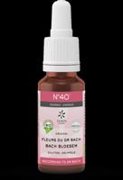 Bach Bloesem Bach bloesems mengeling 40 energie bio 20 Milliliter