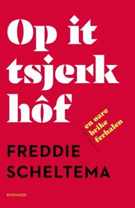 Op it tsjerkhôf en oare brike ferhalen (Paperback)