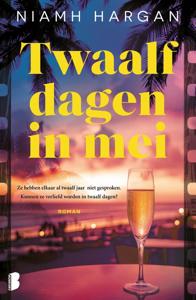Twaalf dagen in mei - Niamh Hargan, - ebook