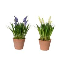 Kunstplant druifjes in pot Ø11xH26cm