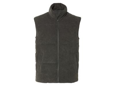 LIVERGY Heren bodywarmer (S, Grijs)