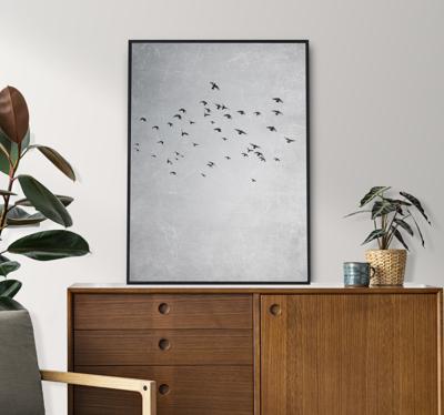 Vogels vliegen dieren poster
