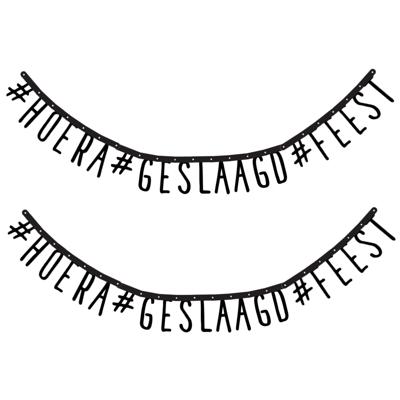 Letterslinger geslaagd - 2x - 170 cm - karton - slinger - versiering thema