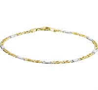 TFT Collier Bicolor Goud Valkenoog 2,6 mm x 50 cm