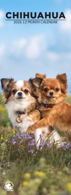 Chihuahua Slimline Kalender 2026