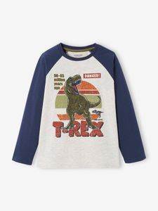 Oeko-Tex® grafisch jongens-T-shirt met raglanmouwen blauw