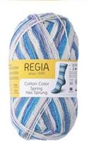 SMC Regia Cotton Color 2467 Close of Winter