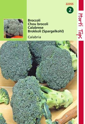 Broccoli Calabria - Hortitops