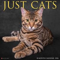Katten Kalender 2026
