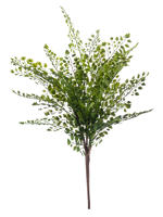 Fern adianthum bush 40 cm green - Emerald Fern adianthum bush 40 cm green - Emerald