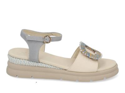 DL Sport 7043 vers 04 osso pol multi blauw maat 41