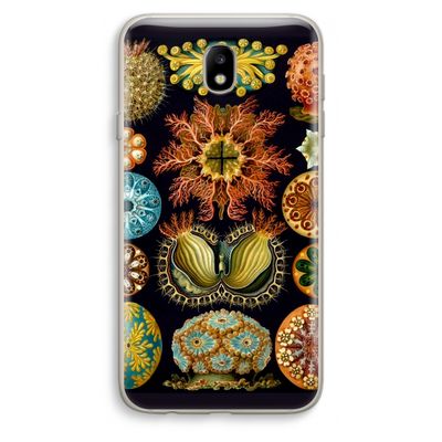 Haeckel Ascidiae: Samsung Galaxy J7 (2017) Transparant Hoesje