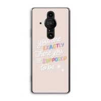 Right Place: Sony Xperia Pro-I Transparant Hoesje