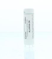 Homeoden Heel Alumina D6 6 Gram