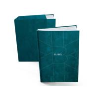 Bijbel in gewone taal (Hardback)
