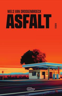 Asfalt - Niels Van Droogenbroeck - ebook