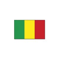 Landen thema vlag Mali 90 x 150 cm feestversiering
