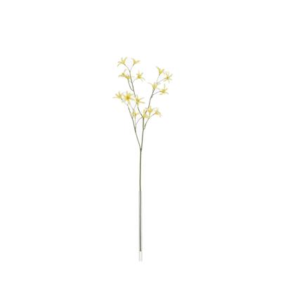 Tweedia Oxypetalum Kunsttak 68cm Geel