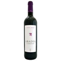 Bodegas Tritium - Ribera del Duero Joven 2020 - 75CL - 14% Vol.