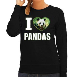 I love pandas sweater / trui met dieren foto van een panda zwart voor dames